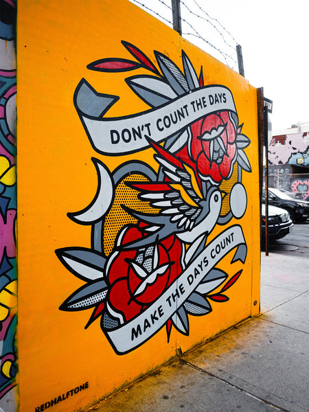 A colorful mural of a flying bird with red roses and two banners that say Don't count the days, make the days count.
